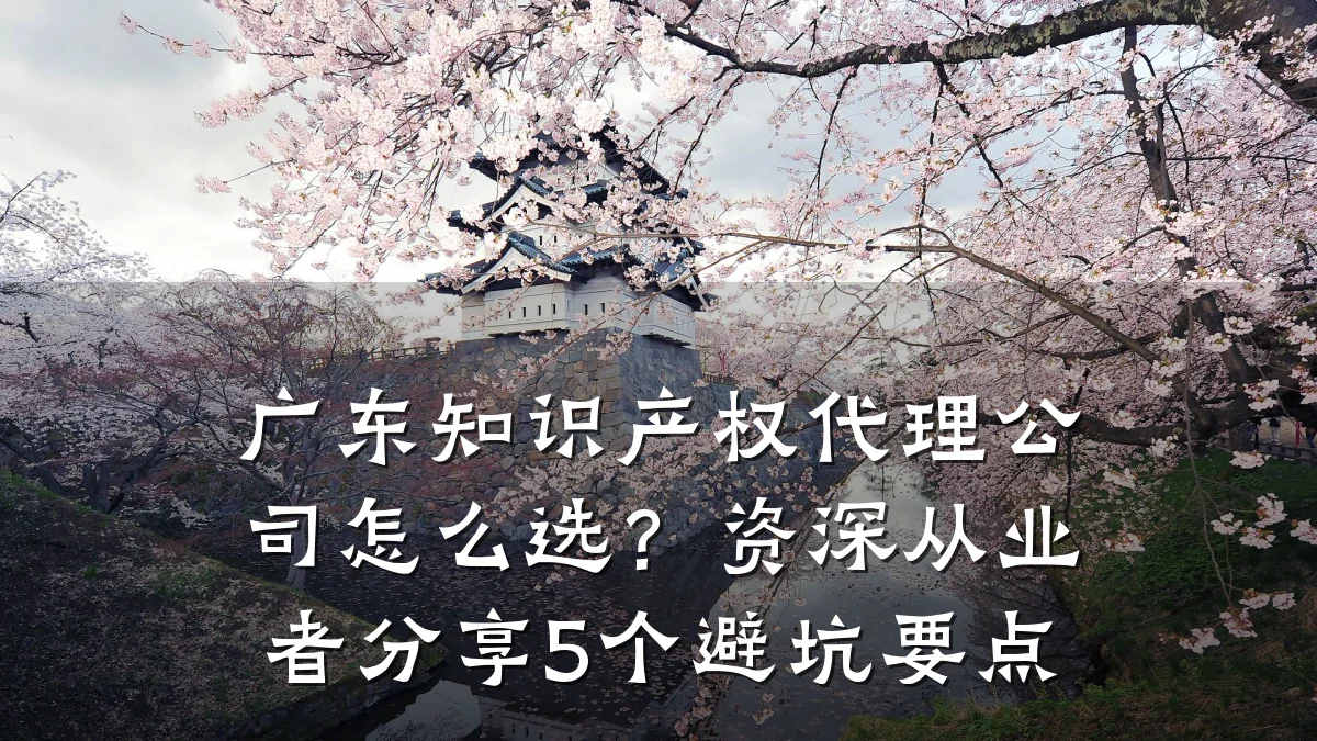 广东知识产权代理公司怎么选?资深从业者分享5个避坑要点