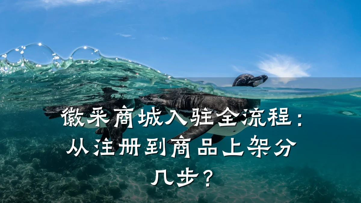 徽采商城入驻全流程:从注册到商品上架分几步?