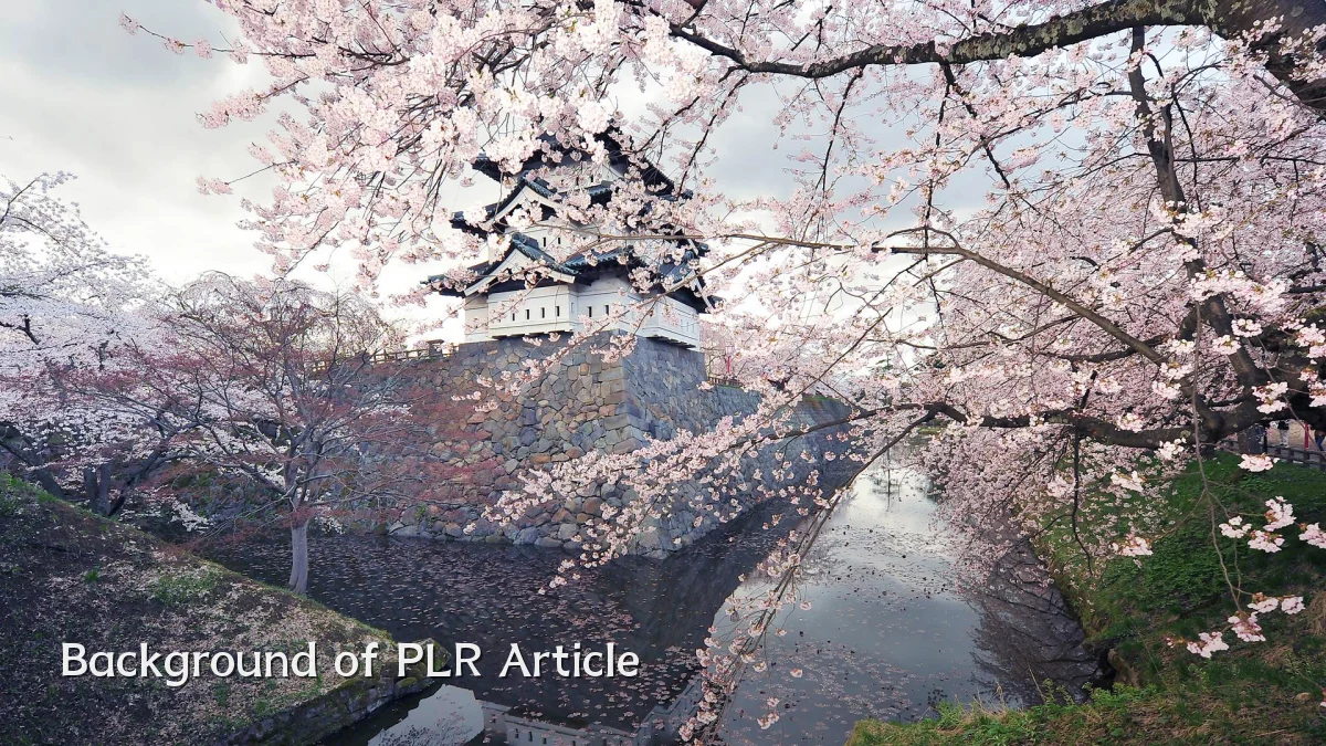 Background of PLR Article