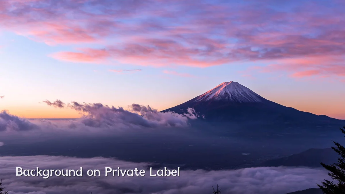 Background on Private Label