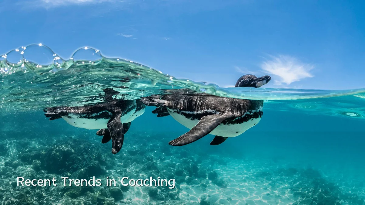 Recent Trends in Coaching