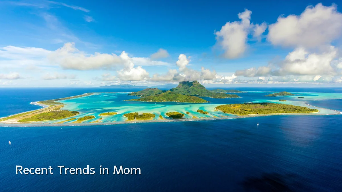 Recent Trends in Mom