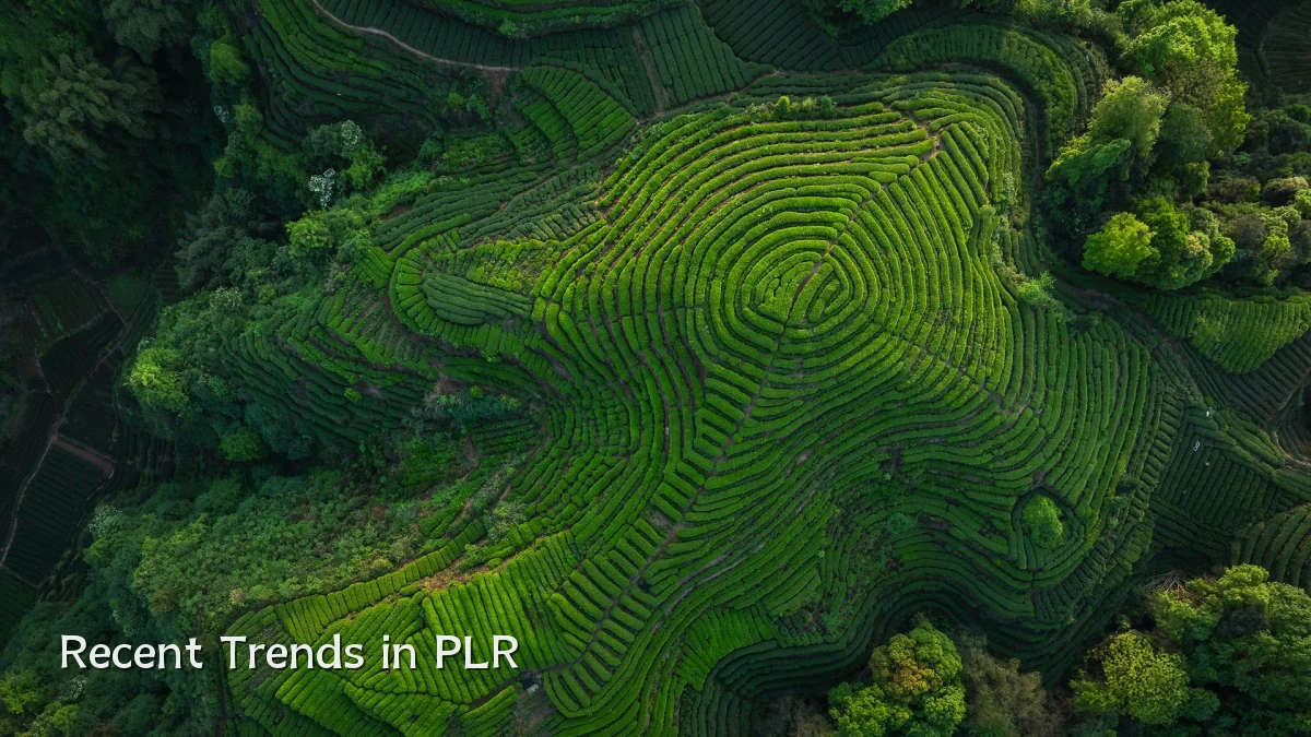 Recent Trends in PLR