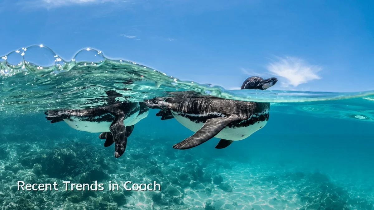 Recent Trends in Coach