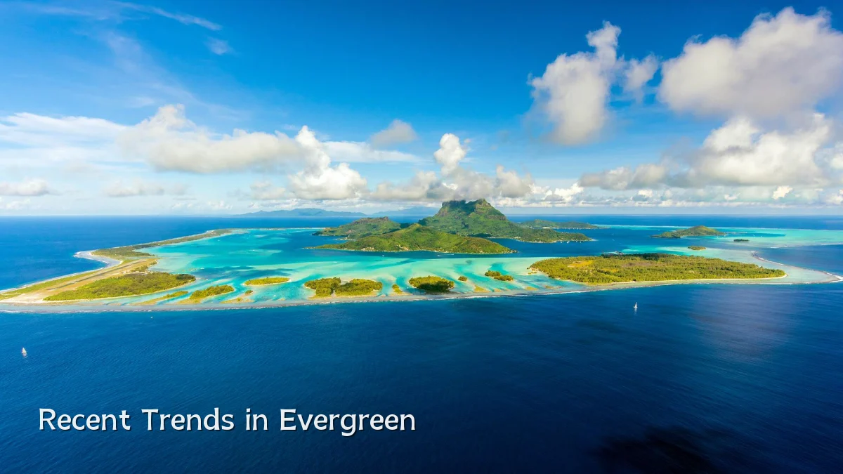 Recent Trends in Evergreen