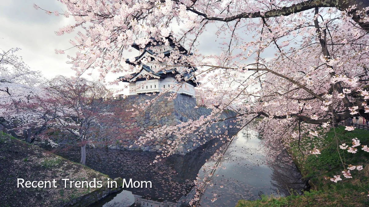 Recent Trends in Mom