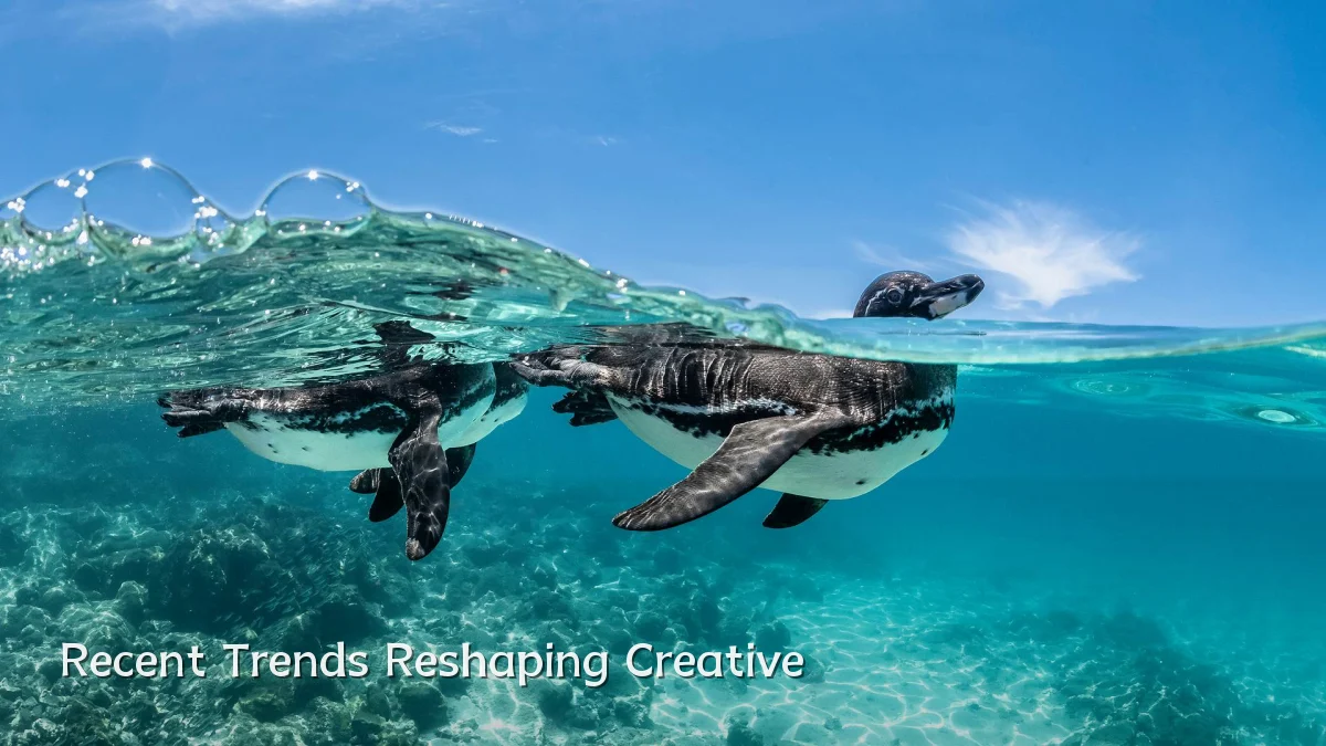 Recent Trends Reshaping Creative