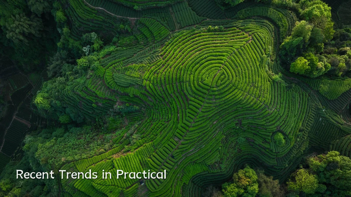 Recent Trends in Practical