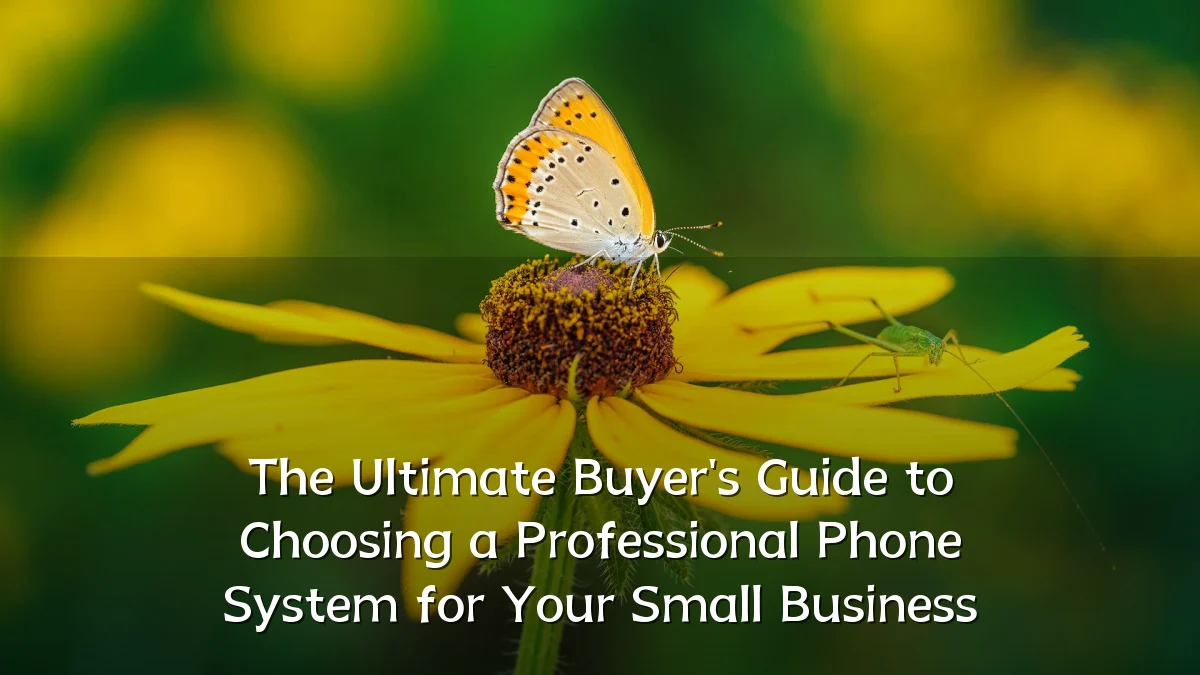 The Ultimate Buyer's Guide to Choosing a Professional Phone System for Your Small Business
